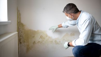 4 Mould Removers Compared: Which Approach Suits a Problem Wall?
